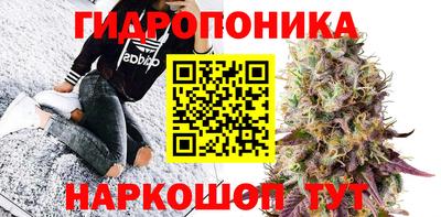 экстази Аргун