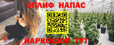 индика Апшеронск