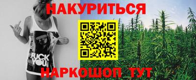 индика Апшеронск