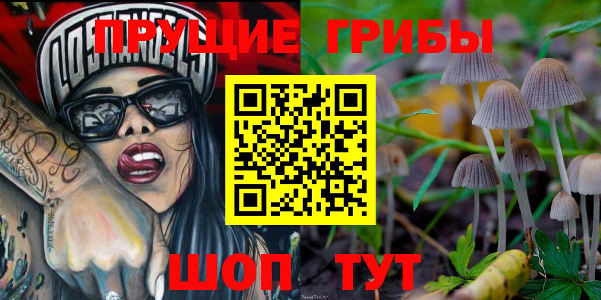 Галлюциногенные грибы Cubensis Берёзовский